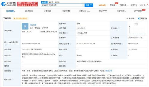 科大訊飛拓展業務版圖，安徽新設兩家軟件開發公司