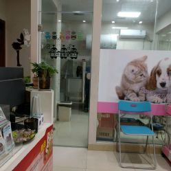 洪星1998寵物店詳細(xì)信息 電話、地址、價(jià)格、營(yíng)業(yè)時(shí)間及圖片